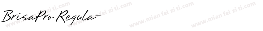 BrisaPro Regula字体转换